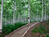 5주년 할인 이벤트