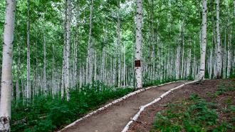 5주년 할인 이벤트